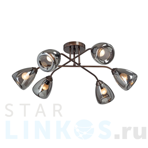 Купить Потолочная люстра Vitaluce V4955-7/6PL за 15 187 руб. в Туле Купить с доставкой Потолочная люстра Vitaluce V4955-7/6PL в Туле