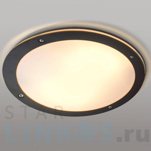 Купить с доставкой Накладной светильник Azzardo Fano R AZ2187 в Туле