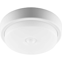 Купить Потолочный светодиодный светильник Feron AL3006 29611 в Туле