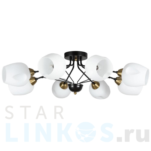 Купить Потолочная люстра Arte Lamp Brighton A2706PL-8CK за 9 990 руб. в Туле Купить с доставкой Потолочная люстра Arte Lamp Brighton A2706PL-8CK в Туле