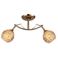 Купить Потолочная люстра Hiper Ravenna H101-2 в Туле