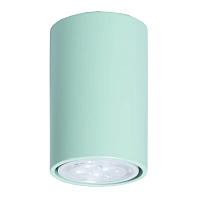 Купить Потолочный светильник TopDecor Tubo6 P1 30 в Туле