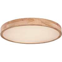 Купить Потолочный светодиодный светильник Globo Rainer 41745-48 в Туле