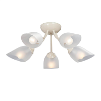 Купить Потолочная люстра Vitaluce V3405/5PL в Туле