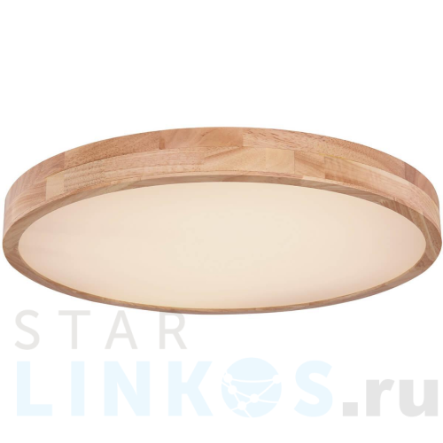 Купить с доставкой Потолочный светодиодный светильник Globo Rainer 41745-48 в Туле