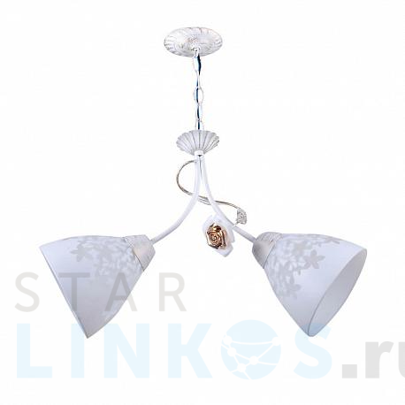 Купить Подвесная люстра Hiper Modern H136-2 за 2 591 руб. в Туле фото 2 Купить с доставкой Подвесная люстра Hiper Modern H136-2 в Туле фото 2