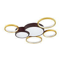 Купить Потолочный светодиодный светильник Lumion Ledio Norbert 5255/99CL в Туле