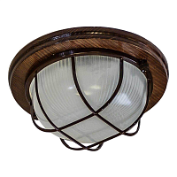 Купить Настенно-потолочный светильник ЭРА Кантри НБО 03-60-022 Б0048416 в Туле