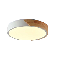 Купить Потолочный светильник Zortes ALBERRO ZRS.01289.24 в Туле