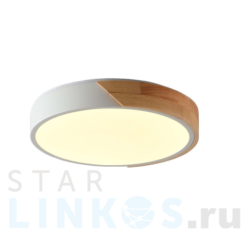 Купить Потолочный светильник Zortes ALBERRO ZRS.01289.24 за 5 750 руб. в Туле Купить с доставкой Потолочный светильник Zortes ALBERRO ZRS.01289.24 в Туле