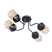 Купить Потолочная люстра Vitaluce V4888-1/4PL в Туле