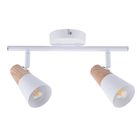 Купить Спот Hiper Susanna H079-2 в Туле