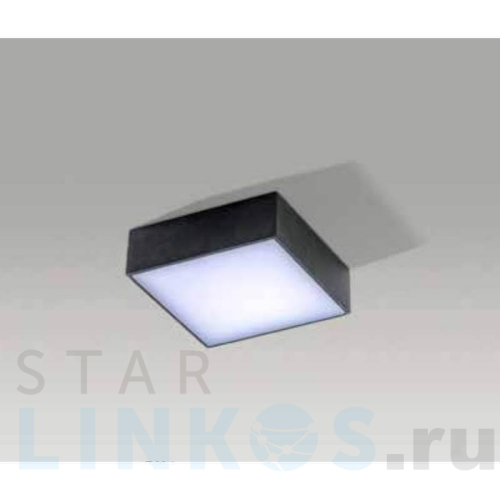 Купить Накладной светильник Azzardo Falco 12 4000K AZ2783 за 9 810 руб. в Туле Купить с доставкой Накладной светильник Azzardo Falco 12 4000K AZ2783 в Туле