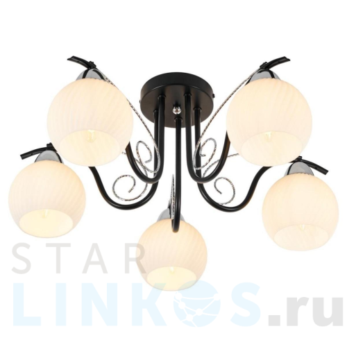 Купить Потолочная люстра MyFar Daniella MR1570-5C за 6 695 руб. в Туле Купить с доставкой Потолочная люстра MyFar Daniella MR1570-5C в Туле