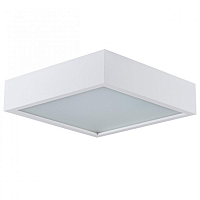 Купить Потолочный светодиодный светильник Kanlux Mersa 25678 в Туле