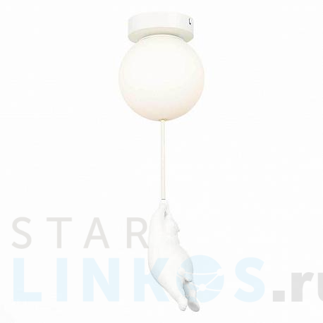 Купить Потолочный светильник Evoluce MODENA SLE115402-01 за 5 730 руб. в Туле фото 2 Купить с доставкой Потолочный светильник Evoluce MODENA SLE115402-01 в Туле фото 2