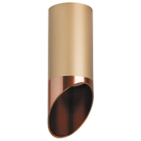 Купить Потолочный светильник Lightstar Rullo (214440+201430) R440130 в Туле