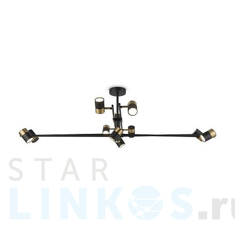 Купить Подвесной светильник Freya Enzo FR5201PL-10B за 22 990 руб. в Туле фото 2 Купить с доставкой Подвесной светильник Freya Enzo FR5201PL-10B в Туле фото 2