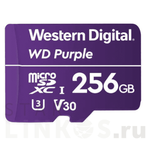 Купить Карта памяти Western Digital WDD256G1P0A объемом 256 Гбайт за 6 300 руб. в Туле Купить с доставкой Карта памяти Western Digital WDD256G1P0A объемом 256 Гбайт в Туле
