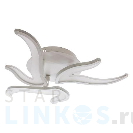 Купить Потолочная светодиодная люстра Gerhort G61074/3 за 25 630 руб. в Туле фото 2 Купить с доставкой Потолочная светодиодная люстра Gerhort G61074/3 в Туле фото 2