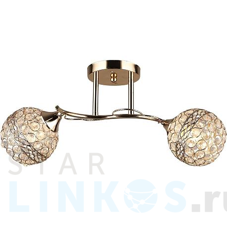 Купить Потолочный светильник Reluce 04729-0.3-02 за 2 780 руб. в Туле фото 2 Купить с доставкой Потолочный светильник Reluce 04729-0.3-02 в Туле фото 2