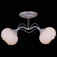 Купить Потолочный светильник Reluce 31417-0.3-02C в Туле