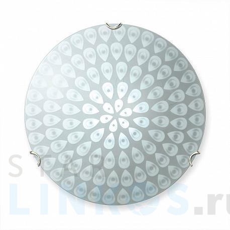 Купить Настенно-потолочный светильник Vitaluce V6012/1A за 1 384 руб. в Туле фото 2 Купить с доставкой Настенно-потолочный светильник Vitaluce V6012/1A в Туле фото 2