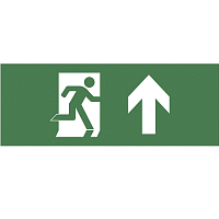 Купить Пиктограмма ЭРА INFO-DBA-004 Б0048456 в Туле