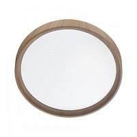 Купить Настенно-потолочный светодиодный светильник Sonex Woodi 7603/EL в Туле