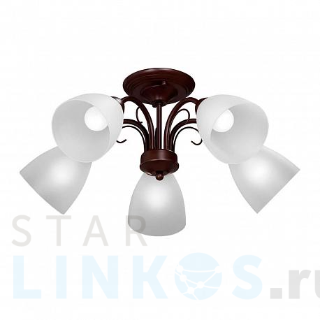 Купить Потолочная люстра Vitaluce V3499/5PL за 4 207 руб. в Туле фото 2 Купить с доставкой Потолочная люстра Vitaluce V3499/5PL в Туле фото 2