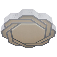 Купить Потолочный светодиодный светильник Omnilux OML-43607-59 в Туле