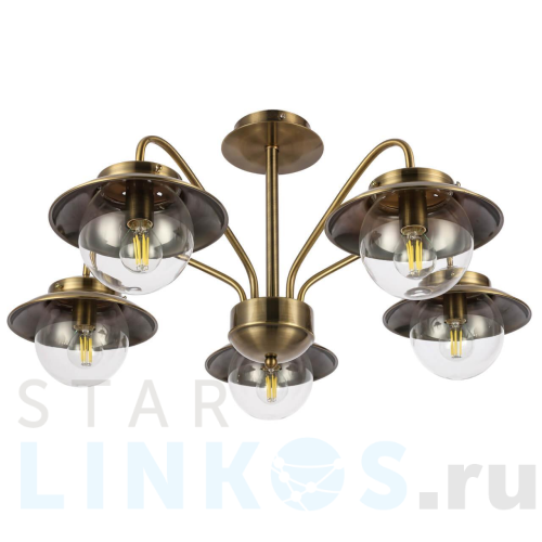 Купить Потолочная люстра Evoluce Garonni SLE110102-05 за 12 640 руб. в Туле Купить с доставкой Потолочная люстра Evoluce Garonni SLE110102-05 в Туле