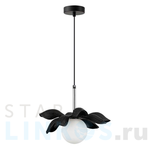 Купить Подвесной светильник Lumion Tanzania 5617/1 за 4 870 руб. в Туле Купить с доставкой Подвесной светильник Lumion Tanzania 5617/1 в Туле