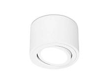 Купить Накладной светильник Ambrella light Techno Spot TN222 в Туле