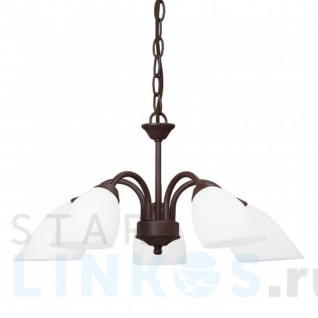 Купить Подвесная люстра Vitaluce V3335/5 за 4 754 руб. в Туле фото 2 Купить с доставкой Подвесная люстра Vitaluce V3335/5 в Туле фото 2