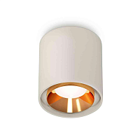 Купить Комплект накладного светильника Ambrella light Techno Spot XS7724004 SGR/PYG серый песок/золото желтое полированное (C7724, N7034) в Туле