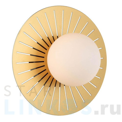 Купить Настенный светильник Favourite Sonnenblume 2356-1W за 4 600 руб. в Туле Купить с доставкой Настенный светильник Favourite Sonnenblume 2356-1W в Туле