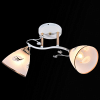 Купить Потолочный светильник Reluce 01145-0.3-02 в Туле