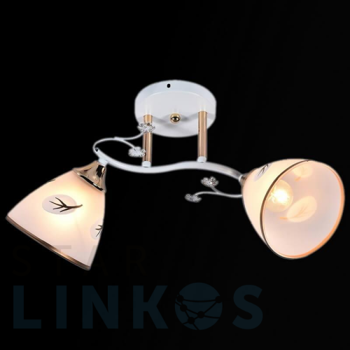 Купить Потолочный светильник Reluce 01145-0.3-02 за 1 600 руб. в Туле Купить с доставкой Потолочный светильник Reluce 01145-0.3-02 в Туле