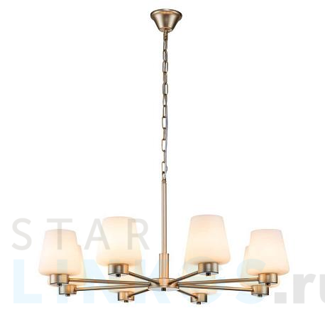 Купить Подвесная люстра Indigo Tulip 13004/8P Gold V000002 за 29 580 руб. в Туле фото 2 Купить с доставкой Подвесная люстра Indigo Tulip 13004/8P Gold V000002 в Туле фото 2