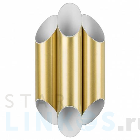 Купить Бра Lightstar Siena 720662 за 12 699 руб. в Туле фото 2 Купить с доставкой Бра Lightstar Siena 720662 в Туле фото 2