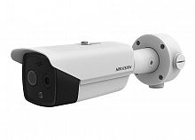 Купить Тепловизионная IP-камера Hikvision DS-2TD2617-10/PA в Туле