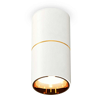 Купить Комплект потолочного светильника Ambrella light Techno Spot XC (C6301, A2062, N6113) XS6301082 в Туле
