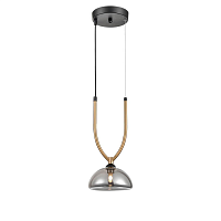 Купить Подвесной светильник Vele Luce Astiy VL5434P01 в Туле