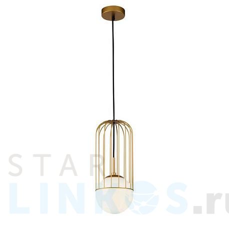 Купить Подвесной светильник Maytoni Telford P362PL-01G за 6 690 руб. в Туле фото 2 Купить с доставкой Подвесной светильник Maytoni Telford P362PL-01G в Туле фото 2