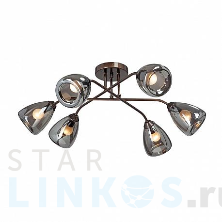 Купить Потолочная люстра Vitaluce V4955-7/6PL за 15 187 руб. в Туле фото 2 Купить с доставкой Потолочная люстра Vitaluce V4955-7/6PL в Туле фото 2