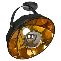 Купить Потолочный светильник Lussole Lgo Klamath LSP-0556-C в Туле