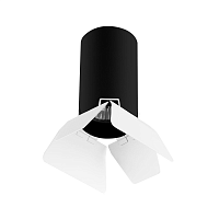 Купить Потолочный светильник Lightstar Rullo (214437+202436) R437436 в Туле