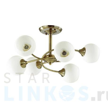 Купить Потолочная люстра Lumion Daniella Comfi 4537/6C за 6 590 руб. в Туле фото 2 Купить с доставкой Потолочная люстра Lumion Daniella Comfi 4537/6C в Туле фото 2