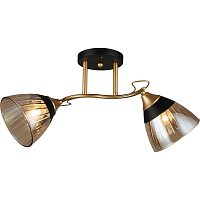 Купить Потолочный светильник Reluce 04619-0.3-02 в Туле